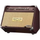 Carlsbro Sherwood30R 30 Watt Akustik Amfi (Reverb) 3