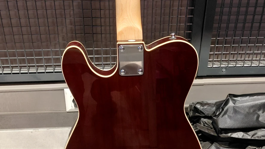 Tele caster Elektro Gitar 2
