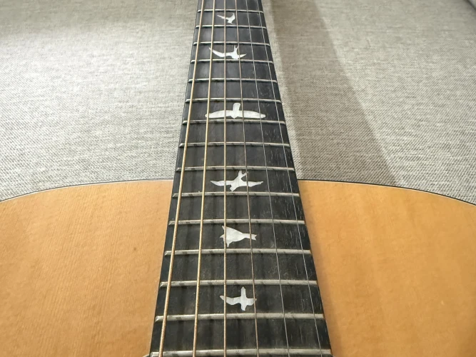 PRS SE TONARE TX20E 5