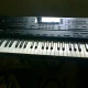 ORG ROLAND G600 1