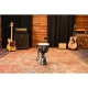 Meinl PADJ8-M-F Travel Series 10" Djembe (Blue Tie Dye) 9