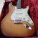 Fender Stratocaster American Performer 5