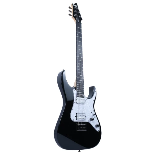 Schecter BANSHEE-6 SGR Elektro Gitar (Siyah-Beyaz) 4