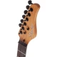 Schecter PT Standard Elektro Gitar (Black Fade Burst Burl) 6
