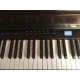 Capella CP350 Rosewood Dijital Piyano 2