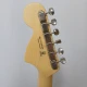 Fender Stratocaster American Performer 4