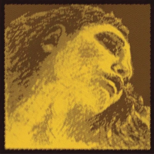 Pirastro Evah Pirazzi Gold  415021 Keman Teli 3