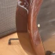 PRS SC58 Artist Pack 10