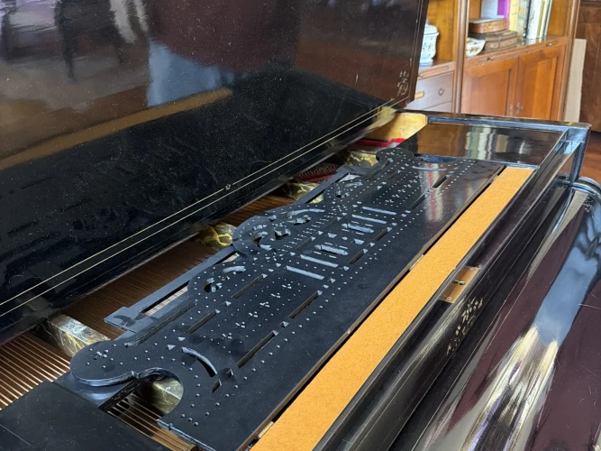 Steinway Kuyruklu Piano 8