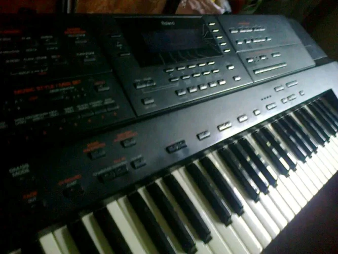 ORG ROLAND G600 2