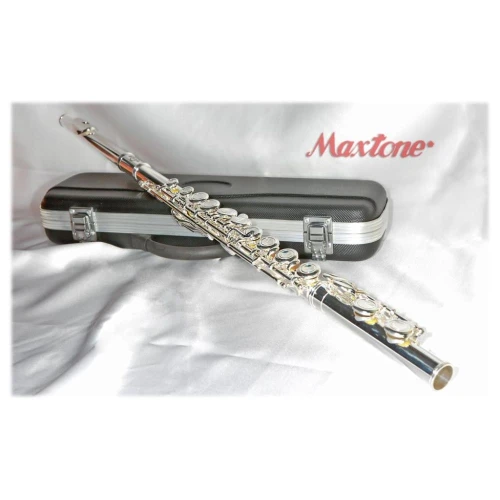 FLÜT C GÜMÜŞ KAPLAMA KUTULU : MAXTONE 3