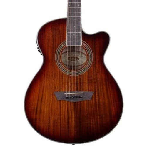 Washburn EA55G Festival Elektro Akustik Gitar 3