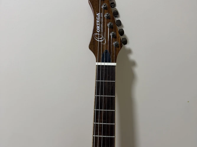 Ortega RTPG LS1 5