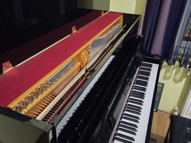 Pearl River UP118 Akustik Piyano 3