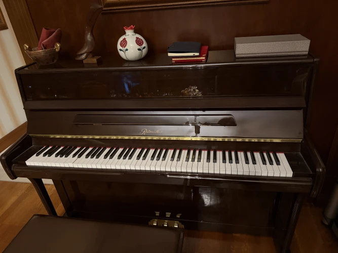 ritmüller akustik piyano 1