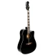 DMX Guitars DAG100CE BK Elektro Akustik Gitar 1
