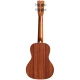 Cordoba 15CM Concert Ukulele 2