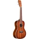 Cordoba 15CM-E 15 Series Concert Elektro Ukulele (Edgeburst Satin) 3