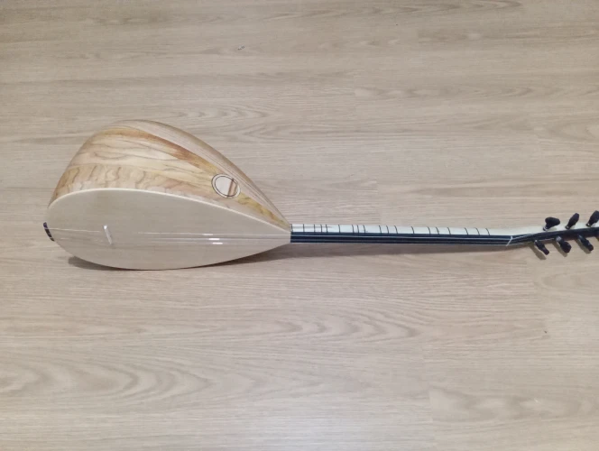 40 TEKNE DUT AĞACI KISA SAP ORTA ÜSTÜ KALİTE BAĞLAMA 2