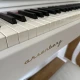 Arsenberg adp1955w 1