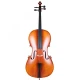 Carlovy CLA9 2/4 Çello 3