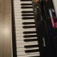 CASIO CT-S100 org ( Sehpa Dahil ) 2