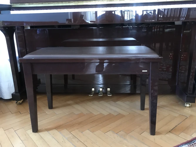 Pearl River UP118 marka akustik duvar piyanosu 7