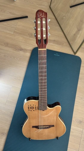 acil satılık FİYAT DÜŞMÜŞTÜR !!! - godin encore 2