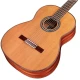 Cordoba C9 Crossover Series Kanada Sedir Klasik Gitar (Natural) 2