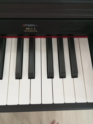DP-3+ 5