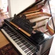 Steinway Kuyruklu Piano 3