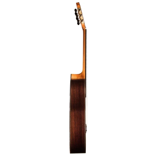 Cordoba Friederich CD PF Klasik Gitar (Natural) 3