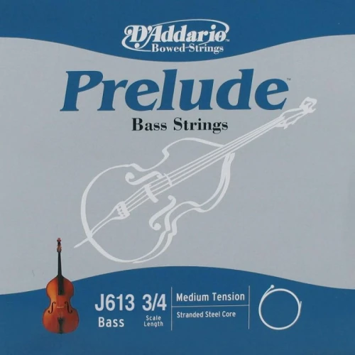 DADDARIO J613 1
