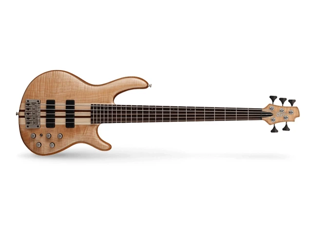 CORT A5PLUS FMMH OPN BAS GİTAR 5 TELLİ 1