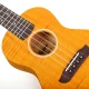 Kaysen U3-24GD Concert Ukulele 5