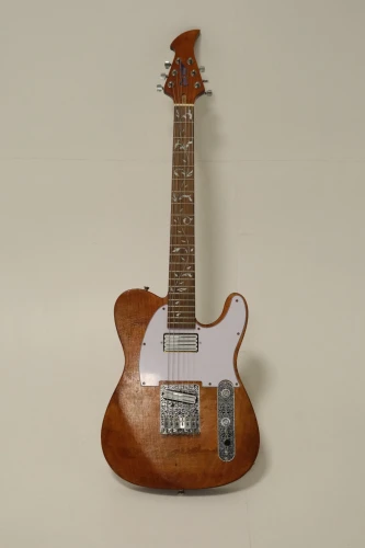 ÖZEL YAPIM (CUSTOM BUILD) T-Style Gitar 1