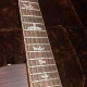 PRS SC58 Artist Pack 5