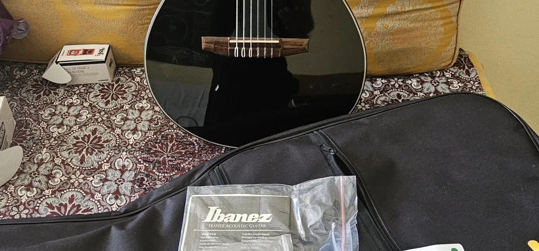 Ibanez AEG50N Bk 10