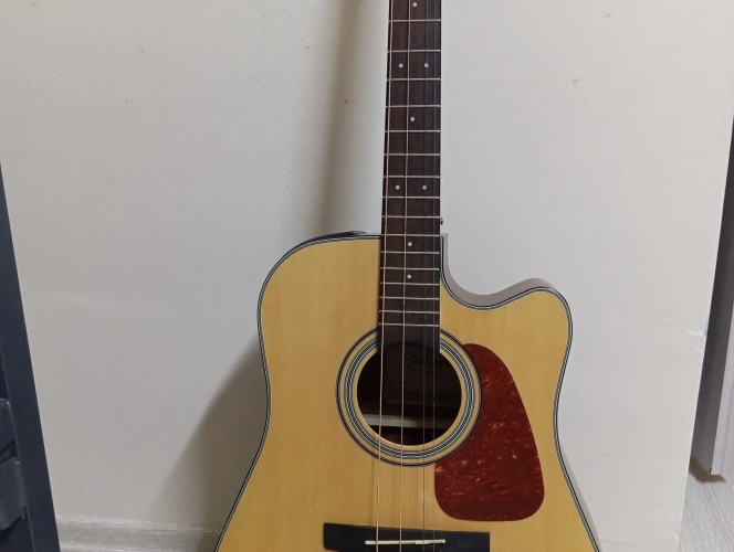 Takamine Gd 10ce NS 2