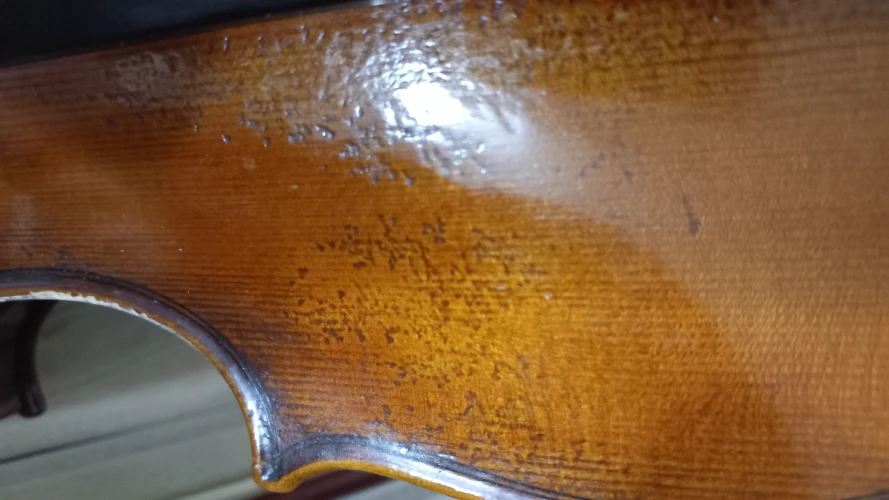 El Yapımı 20 senelik Keman 6