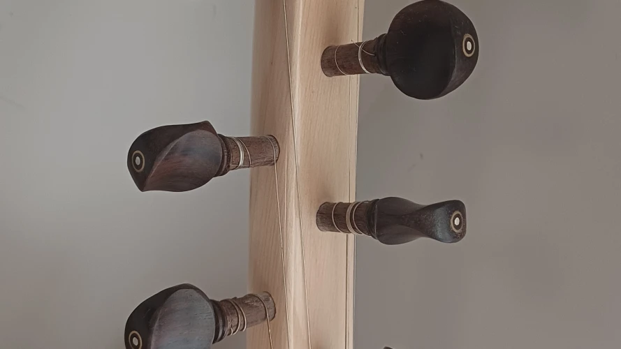 KISA SAP PROFESYONEL BAĞLAMA 3