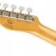 Squier Classic Vibe 70s Telecaster Thinline Akçaağaç Klavye Natural Elektro Gitar 6