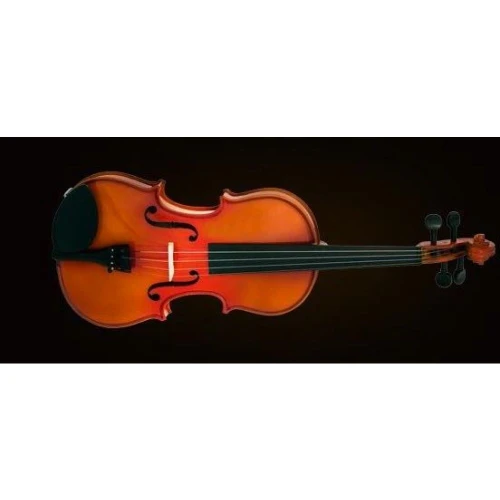 Valencia Va400 Viyola Kutulu 15.5" 39,37cm 2