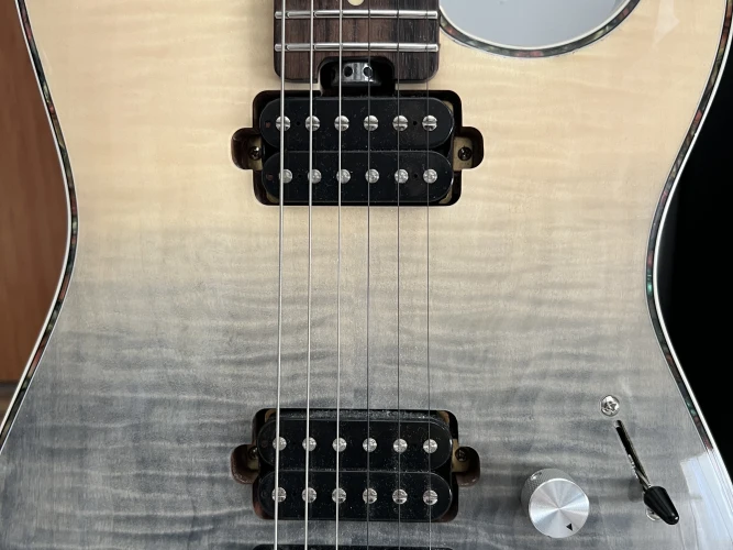 Eart EYP-ELITE Elektro Gitar 4