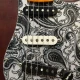Toplama Fender Stratocaster 2