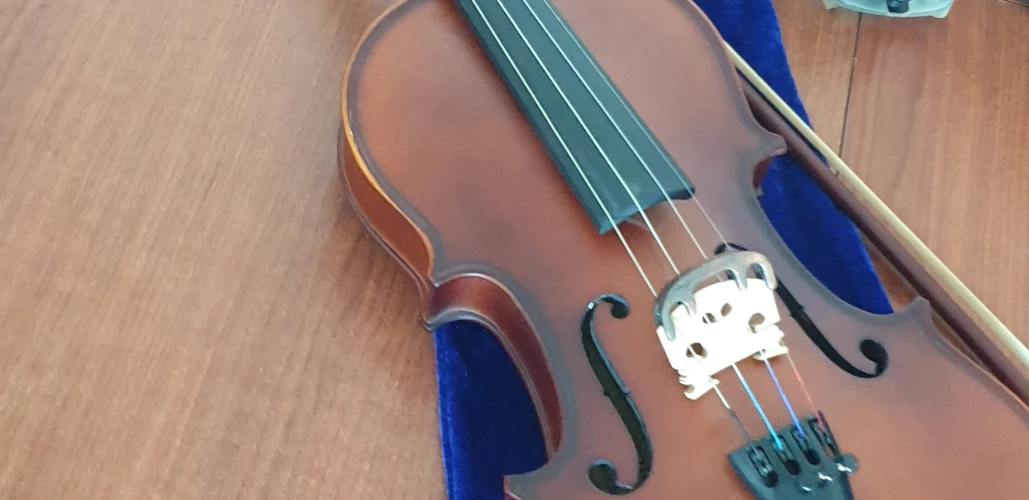 Presto luthier VV100 4 /4 Keman 3