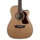Washburn Heritage 10 Serisi HF11SCE Elektro Akustik Gitar 2