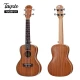 Tayste TUK200-24 Concert Ukulele 1