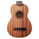 Kala Learn To Play Ukulele Başlangıç Seti 3
