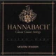 Hannabach 7287MT Klasik Gitar 3'lü Bas Tel Seti 1